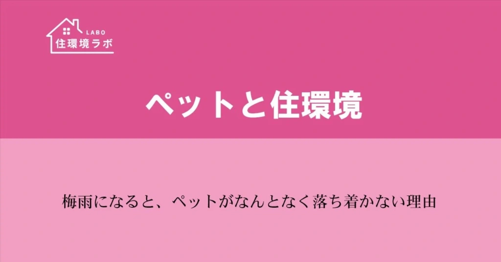 梅雨になると、ペットがなんとなく落ち着かない理由